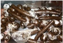 आनी में 2 किलो चरस के साथ पुलिस ने धारा बाइक सवार