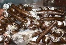 रामपुर बुशहर : जाबली में एसआईयू टीम ने दबोचा चरस तस्कर