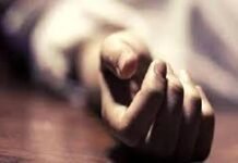 रामपुर बुशहर : कोटगढ़ के शिलाजान में कोयले की गैस लगने से दो युवकों की मौत