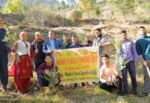 निरमंड : अंतरराष्ट्रीय स्वयंसेवा दिवस पर किया पौधरोपण