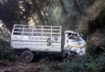 मंडी : लिंडी धार में 200 मीटर गहरी खाई में गिरी टैंपो गाड़ी, एक युवक की मौत