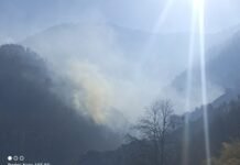 भरमौर : भरमौर उपमंडल में शरारती तत्वों द्वारा जंगलों में लगाई गई आग