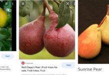 शिमला : शिमला में किया गया एक दिवसीय प्रशिक्षण शिविर का आयोजन