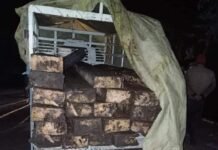 मंडी : पुलिस ने कायल की लकड़ी के अवैध 24 स्लीपर किए बरामद