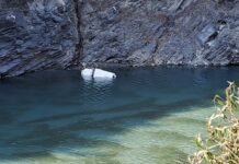 रामपुर : वजीर बावड़ी-ब्रौ सड़क पर सतलुज में समा गई बोलैरो कार, चालक की मौत