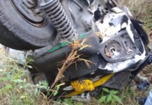 रामपुर : सेरी पुल के समीप जंगल में मिला मानव कंकाल