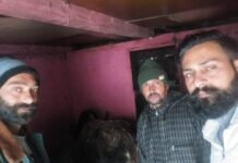 शिमला : बेसहारा पशुओं के लिए सहारा बने देहन घाटी के लोग