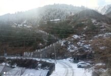 भरमौर : भरमौर में बागवानों की उम्मीद के मुताबिक नहीं हुई बर्फबारी