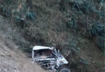 शिमला : उपमडल ठियोग में गहरी खाई में गिरी गाड़ी, एक की मौत 2 घायल