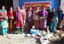 मंडी : कौशल के संगम से डलाह पंचायत की महिलाओं ने संवारी तकदीर