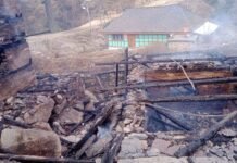 मंडी : संगलवाड़ा गांव में भीषण अग्निकांड से 6 गौशालाएं जलकर राख