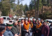 राजगढ़ : उद्योग मंत्री हर्षवर्धन चौहान ने शिरगुल देवता मंदिर शाया में टेका माथा