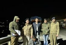 शिमला : ठियोग पुलिस ने 78 ग्राम चरस सहित किया युवक गिरफ्तार