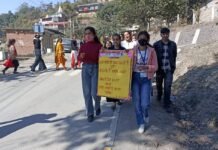 सिरमौर : ददाहू महाविद्यालय में निकाली गई सड़क सुरक्षा जागरूकता रैली