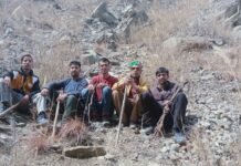 किन्नौर : सापनी के विभिन्न क्षेत्रों में किया गया पौधारोपण