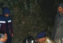 शिमला : 520 ग्राम भुक्की के साथ युवक गिरफ्तार, मामला दर्ज