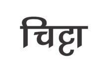 शिमला : ठियोग में चिट्टे का एक बड़ा सप्लायर लगा पुलिस के हाथ