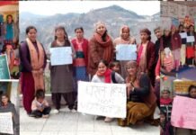 शिमला : उपमंडल ठियोग में आंगनवाड़ी कार्यकर्ताओं द्वारा शिविर आयोजित