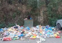 राजगढ़ : एक बार फिर से चरमरा गई नगर पंचायत राजगढ़ में सफाई व्यवस्था