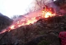 रामपुर : कूट पंचायत के सुरु में मकान में लगी आग, 18 बकरियां जिंदा भस्म