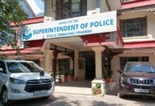 कुल्लू : तीर्थन घाटी में 4 मामलों में 12 हजार 854 अफीम के पौधे किए नष्ट