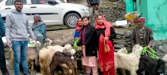 WhatsApp Image 2023-03-29 at 15.31.07