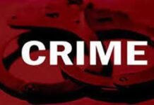 सिरमौर : 176 नशीले कैप्सूल के साथ एक व्यक्ति गिरफ्तार