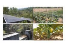 मंडी : सोलर एनर्जी अब किसानों के लिए भी बन रही एक वरदान