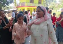 मंडी : मंडी में दो दर्जन के करीब लोगों को मधुमक्खियों ने बनाया अपना शिकार