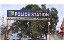 मंडी : पशुओं को चराने जंगल गया था 48 वर्षीय व्यक्ति, ढांक से गिर मिली दर्दनाक मौत