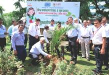 एनएचपीसी ने मनाया विश्व पर्यावरण दिवस