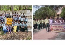 ददाहू : पर्यावरण दिवस पर ददाहू के स्कूलों में निकाली गई जागरूकता रैली
