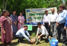 चंबा : चमेरा II पावर स्टेशन, करियां में विश्व पर्यावरण दिवस पर किया वृक्षारोपण