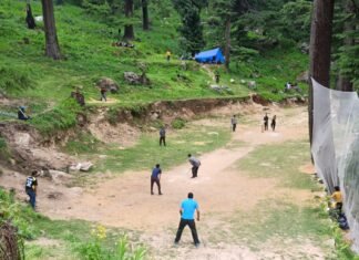 निरमंड : क्रिकेट का महाकुम्भ महिला और पुरुष वर्ग की क्रिकेट सीरीज सगोफ़ा में शुरू