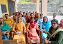 राजगढ़ : ग्राम पंचायत डिम्बर में मनाया गया विश्व पर्यावरण दिवस