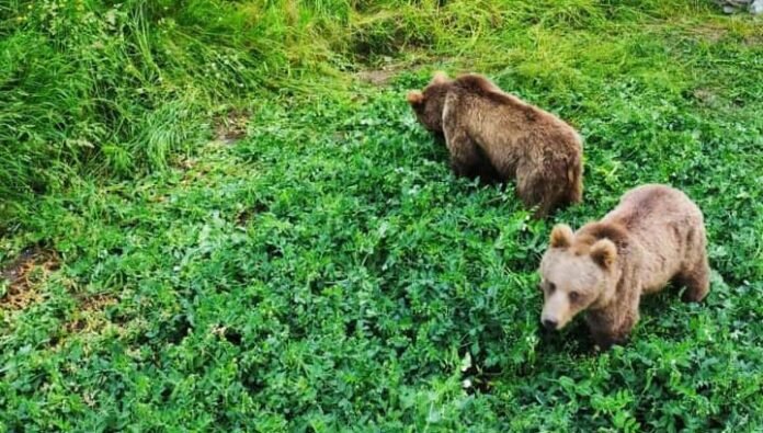 WhatsApp Image 2023-07-01 at 11.45.32 AM