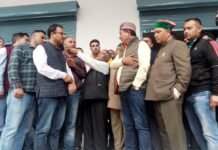 शिमला : इस वर्ष किलो के हिसाब से ही बेचा जाएगा सेब – जगत सिंह नेगी