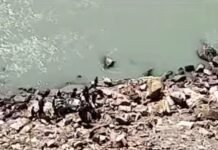 लाहौल में बहुत बड़ा सडक हादसा, जाको राखे साईं, मार सके न कोई