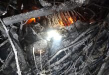 राजगढ़ : राजगढ़ के रुग (शिरगली) गाँव में मकान में लगी आग, महिला समेत 7 बकरियों की जलकर मौत