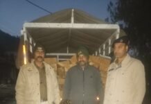 पझौता पुलिस चौकी की टीम ने पकड़ी देवदार की अवैध लकडी से भरी पिकअप