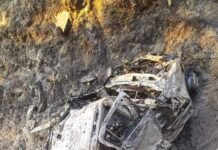 गहरी खाई में गिरी कार 33 वर्षीय युवक की मौत, पुलिस ने शुरू की जांच