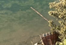 पंडोह डैम में गिरा ट्रक, दो ने कूदकर बचाई जान, चालक को किया गया रेस्क्यू