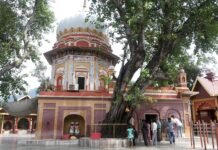 बालासुंदरी चैत्र नवरात्र मेला 9 अप्रैल से 23 अप्रैल तक होगा अयोजित – एल.आर.वर्मा