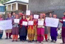 शिमला : चुनाव को लेकर कई जगहों पर स्वीप गतिविधियां आयोजित