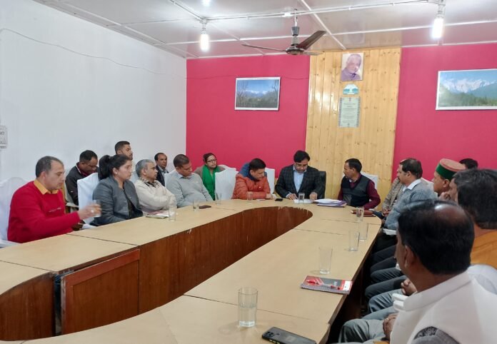 IMG_20240320_120538_1