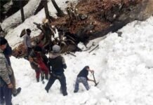 मनाली : जगतसुख नाले में हिमस्खलन की चपेट में आए जेसीबी के चालक का शव बरामद