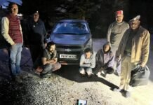 शिमला पुलिस ने एक वाहन से बरामद किया 5.6 ग्राम चिट्टा/हेरोइन