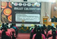 इटरनल विश्वविद्यालय, बडूसाहिब में बाजरा की खेती पर कार्यशाला आयोजित
