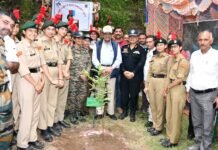 सोलन : धनी राम शांडिल ने सोलन विधानसभा क्षेत्र की पंचायत तुंदल के रुड़ा गांव में वन महोत्सव एवं पौधारोपण अभियान की अध्यक्षता की