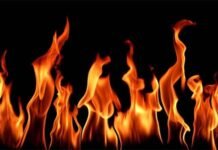 मंडी : भवाना के निकट फोरलेन पर चलते ट्रक में लगी आग, चालक ने कूद कर बचाई जान,